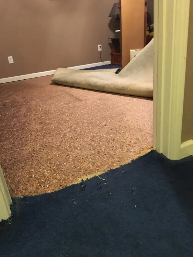 Carpet pad removal revealing water damage during Water Mitigation Services in Shaler