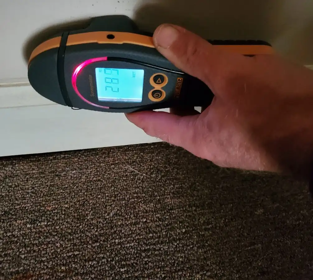 Moisture detection at baseboard during Burst Pipe Cleanup in Shaler